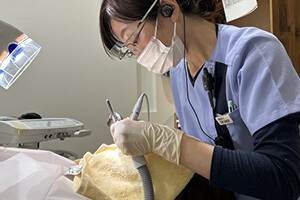 歯周基本治療を表す画像